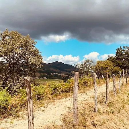 Zurezko Txaleta Chalet Rondins *